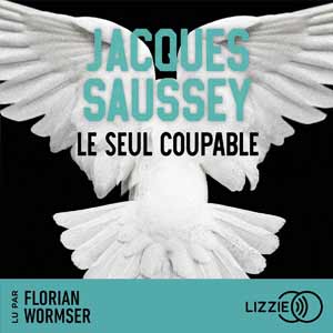 Le seul coupable